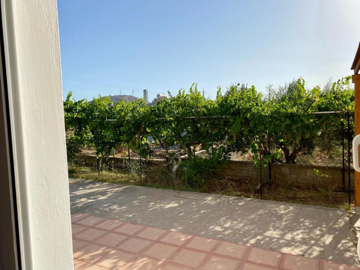 Family Friendly Apartment, In Nature, With Yard "5" Ziparion Экстерьер фото